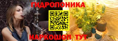 дмт Тула