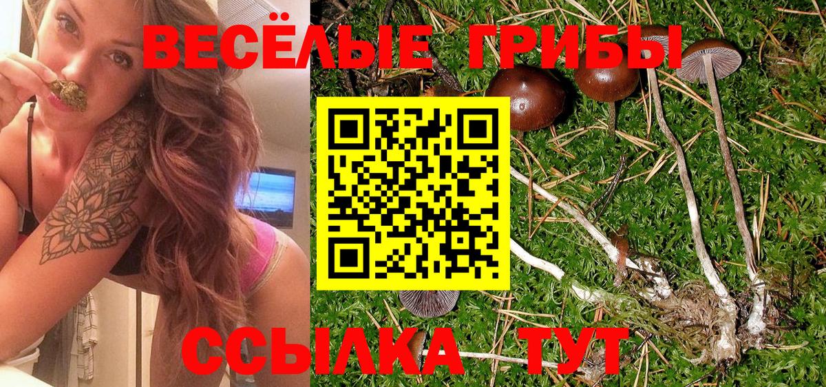 Южно-Сахалинск  Псилоцибиновые грибы Psilocybine cubensis  даркнет сайт  Вход с VPN  Псилоцибиновые грибы прущие грибы 